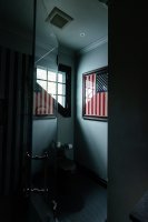 Amazing Detail Amazing Detail